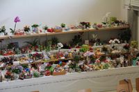 bilder1 037